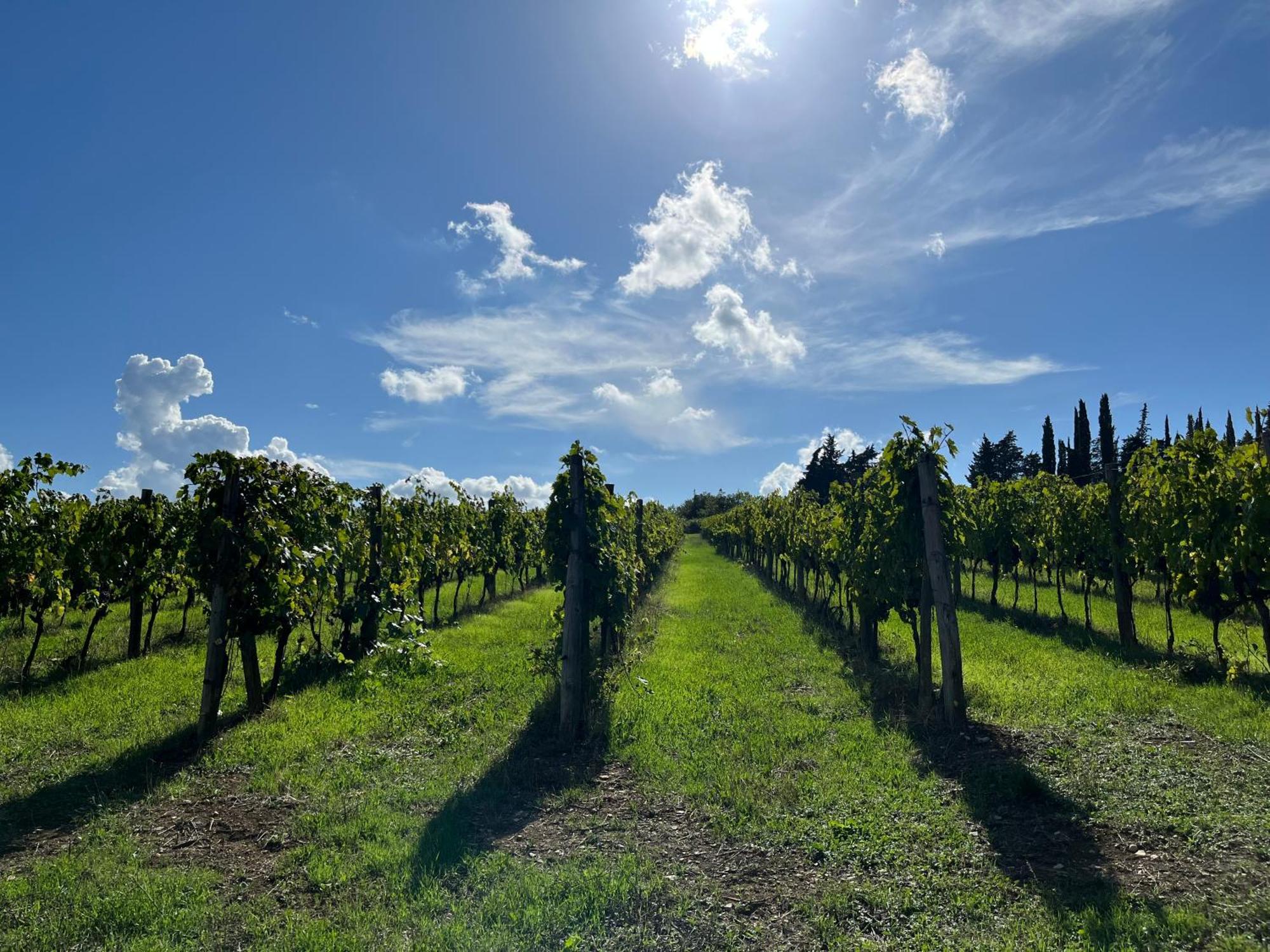 Il Villino Farmhouse Castellina in Chianti Eksteriør bilde